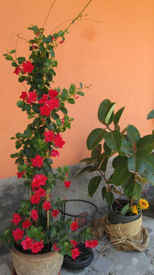 B&B Agora Sarzana Exterior photo